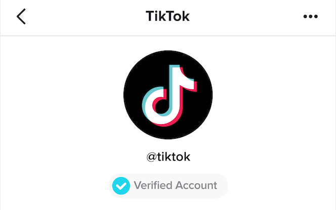 How to Get Verified on TikTok?
